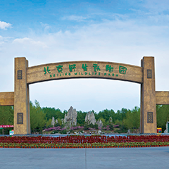 CA88(中国区)唯一官方网站